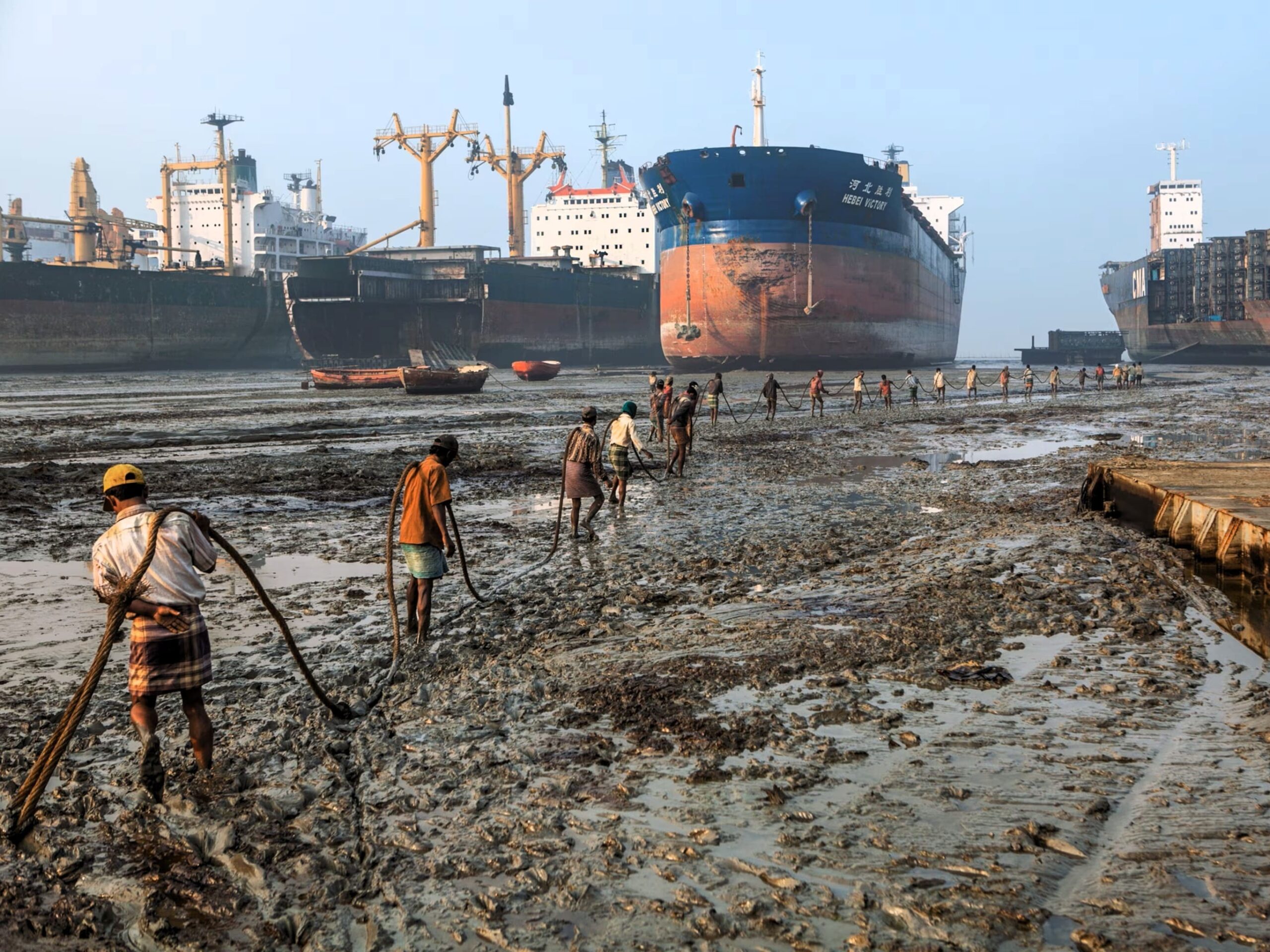 Ecological vulnerability assessment program for ship breaking coastal areas
