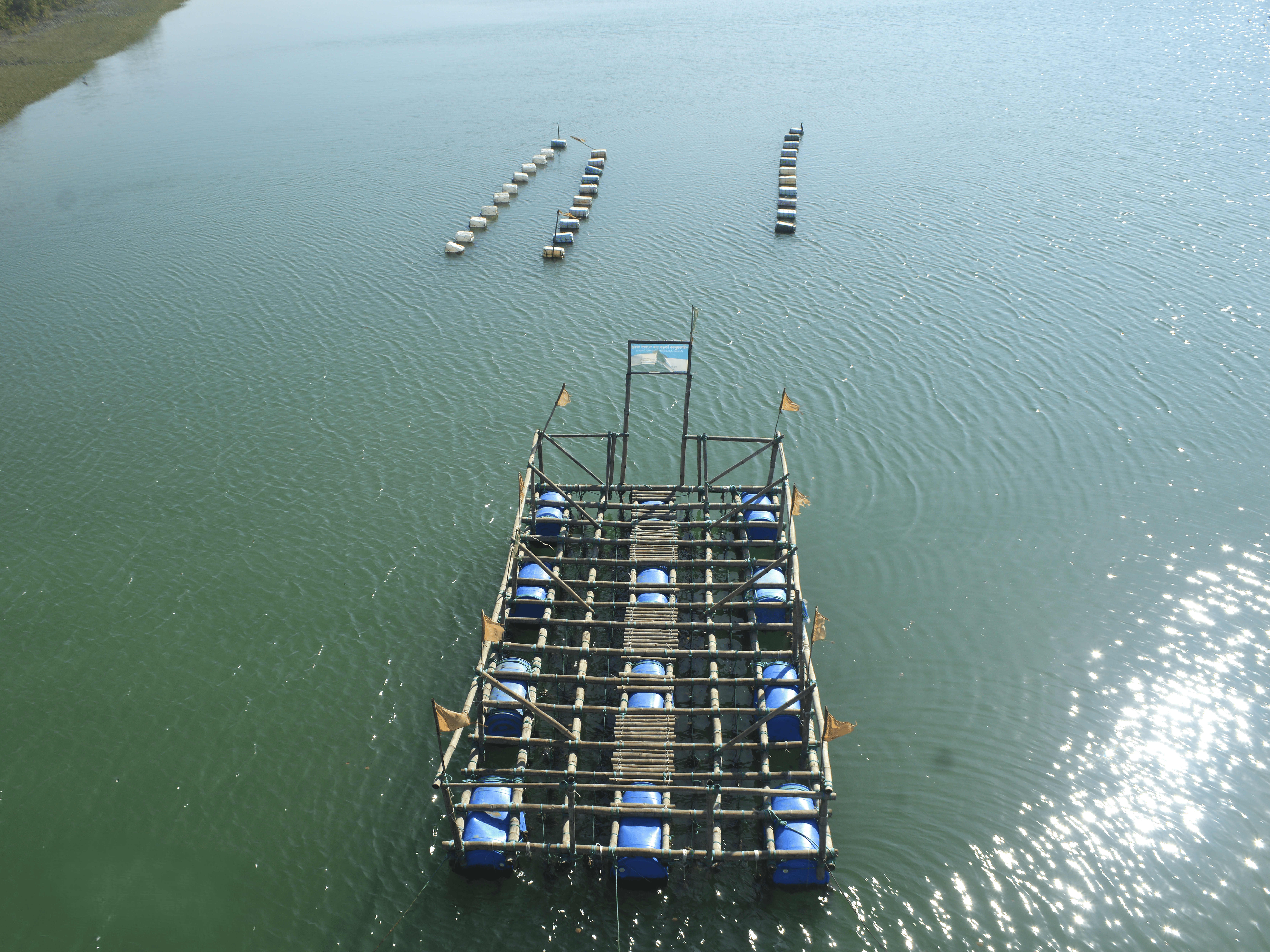 MASS (Mussel aquaculture development for social sustainability in Bangladesh) Project