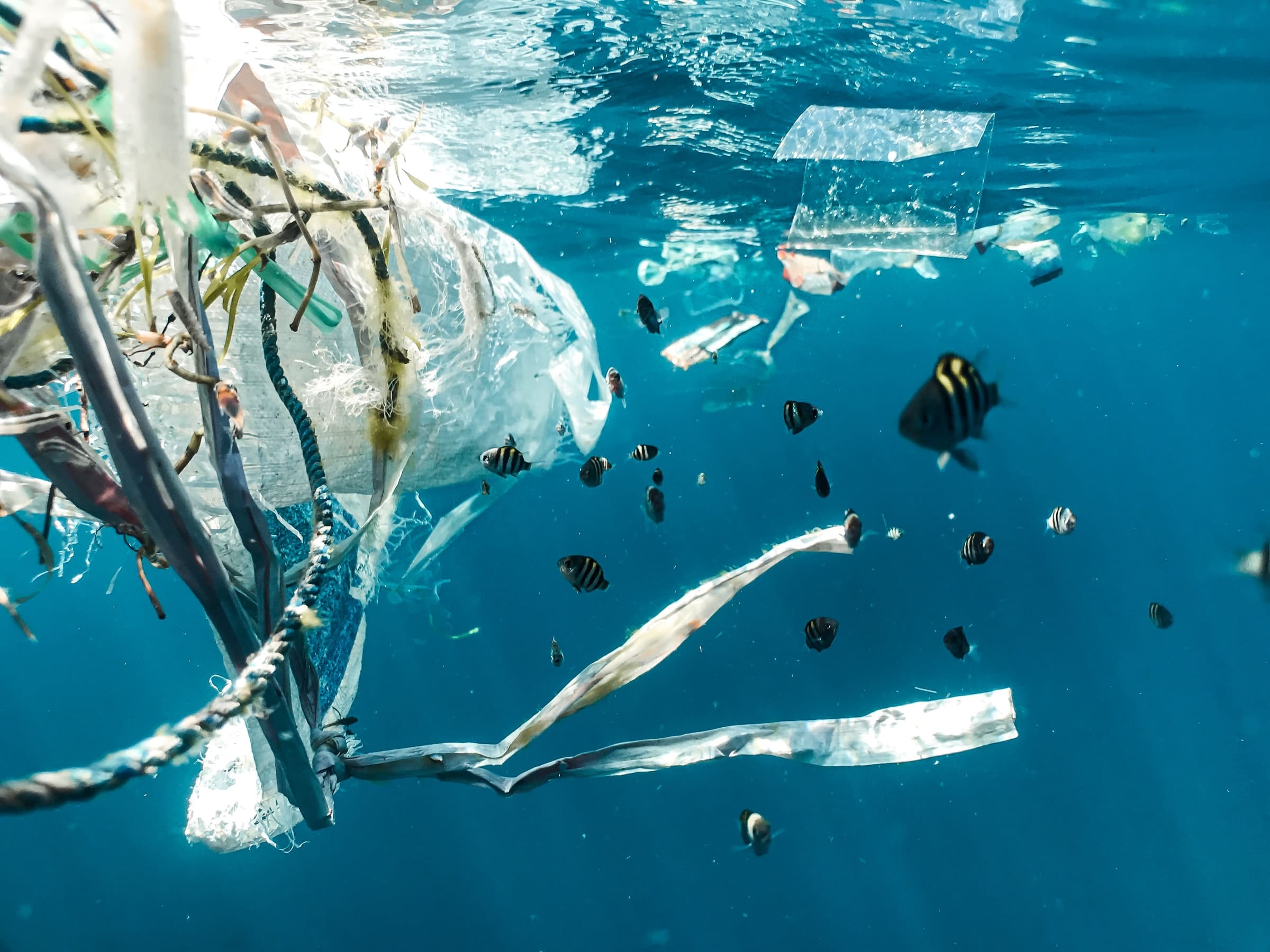 Micro-plastic monitoring initiatives