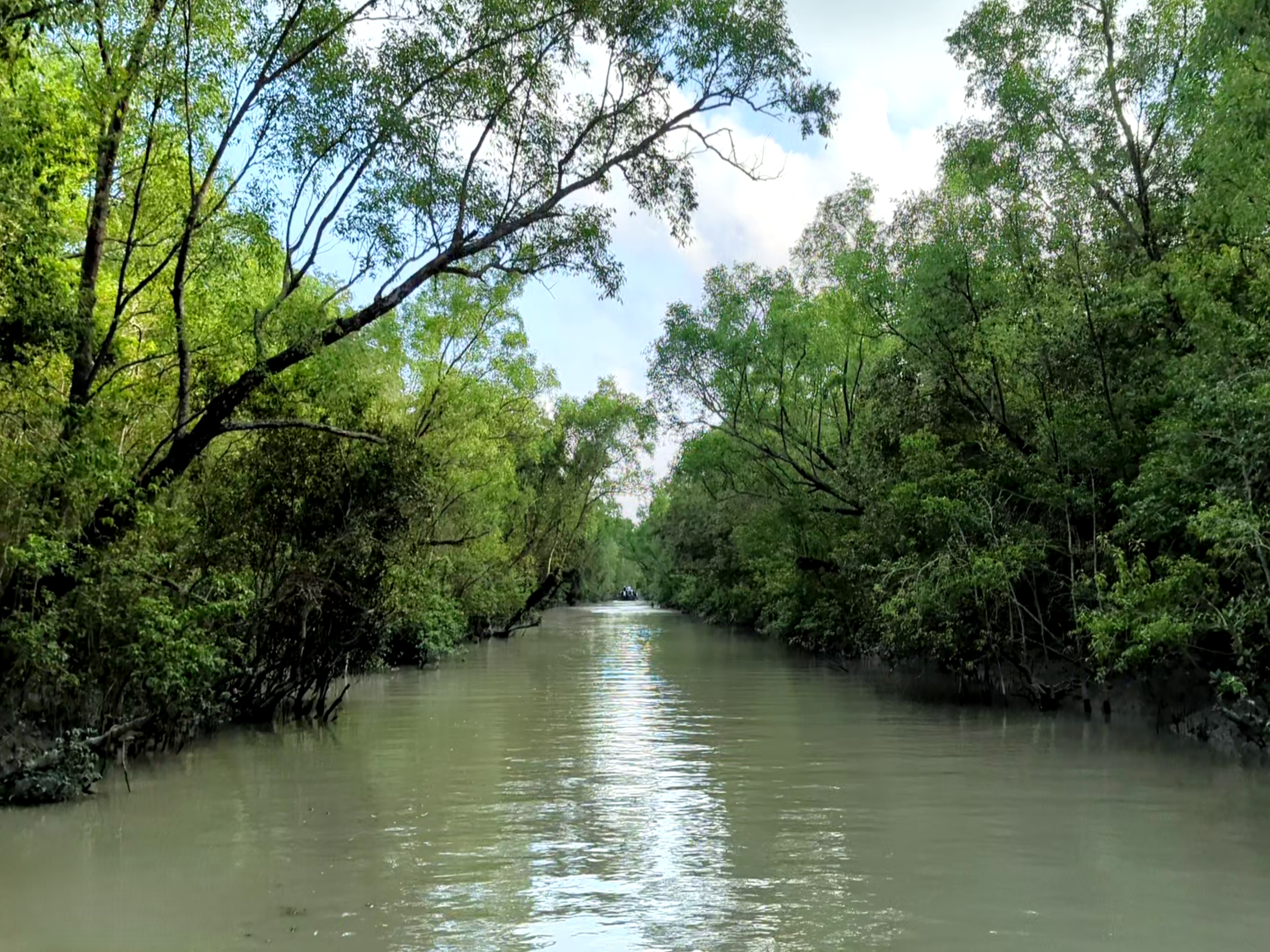 Sundarban expeditions: Aaquatic health monitoring program