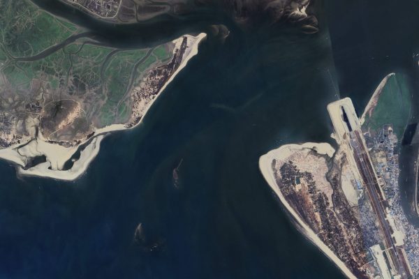 Estuarine and Coastal Ecosystems