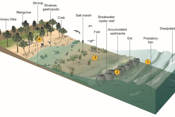 Marine environmental management