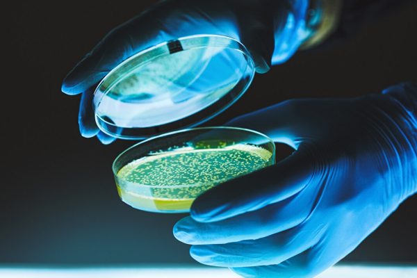 marine-biotechnology